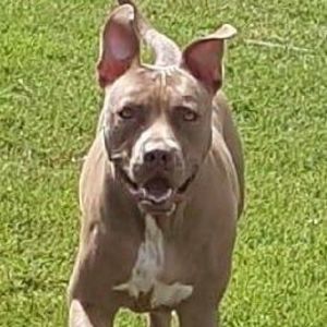 Meet your Posher, Brad